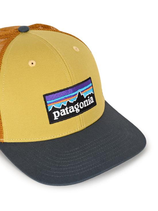 26FW 파타고니아 P-6 로고 트러커 햇 38289 LYTN LYNX TAN - PATAGONIA