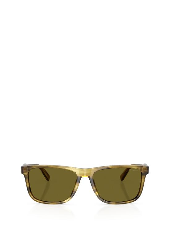 25FW 코치 선글라스 HC8454U 5945 2 OLIVE