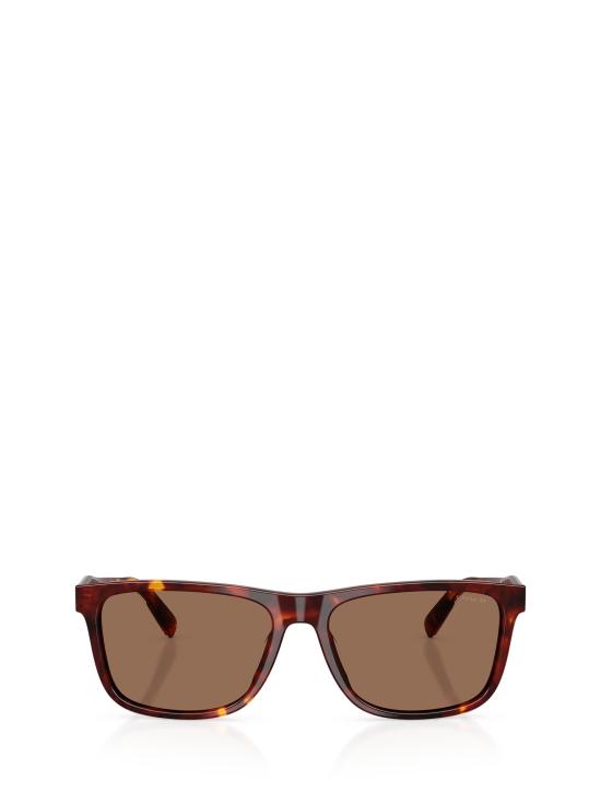 25FW 코치 선글라스 HC8454U 593813 WALNUT TORTOISE