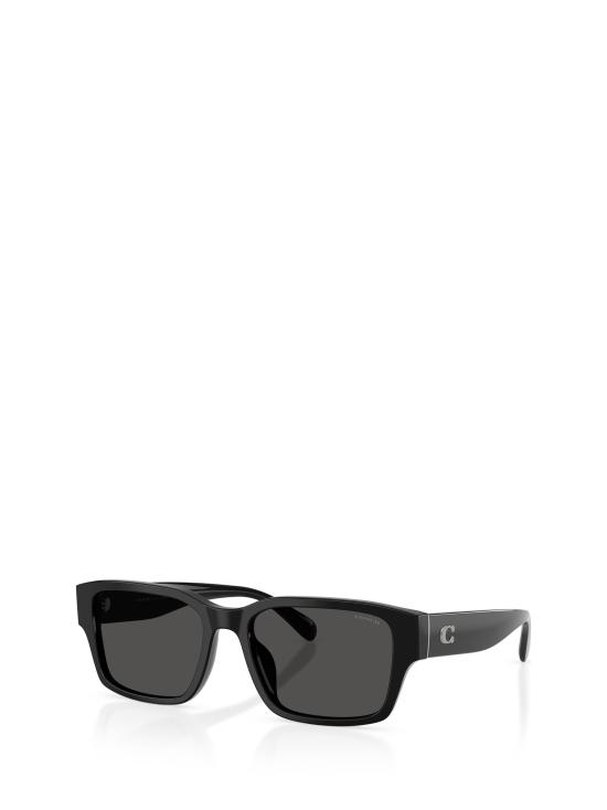 25FW 코치 선글라스 HC8441U 500287 BLACK - COACH