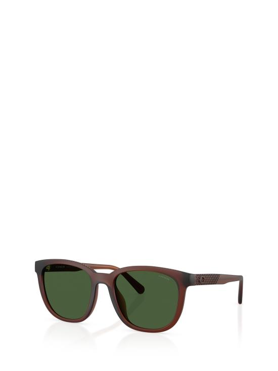 25FW 코치 선글라스 HC8442U 591171 MATTE TRANSPARENT BROWN - COACH