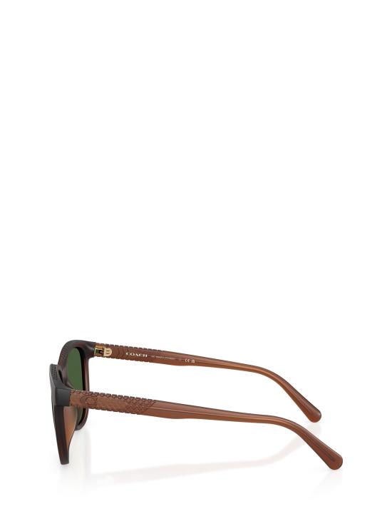 25FW 코치 선글라스 HC8442U 591171 MATTE TRANSPARENT BROWN - COACH