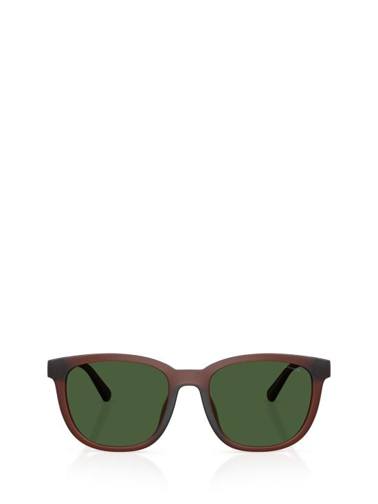 25FW 코치 선글라스 HC8442U 591171 MATTE TRANSPARENT BROWN