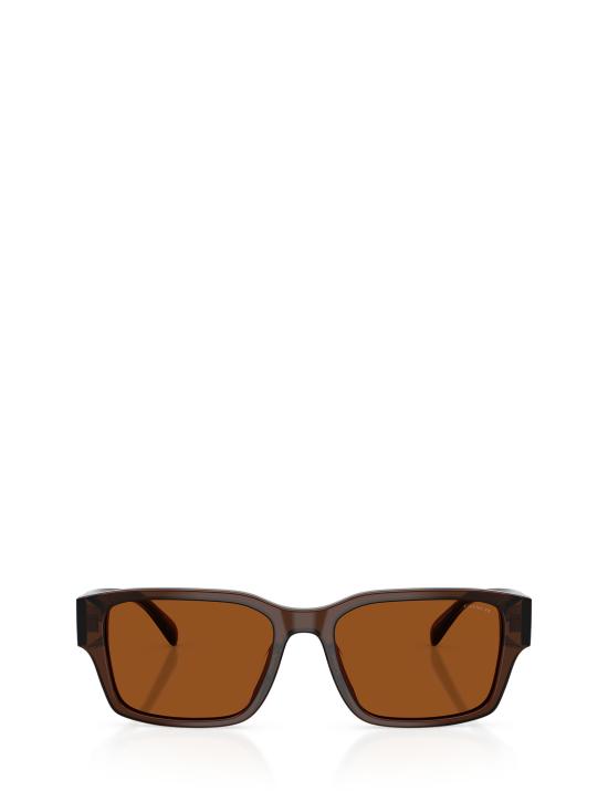 25FW 코치 선글라스 HC8441U 591173 TRANSPARENT BROWN