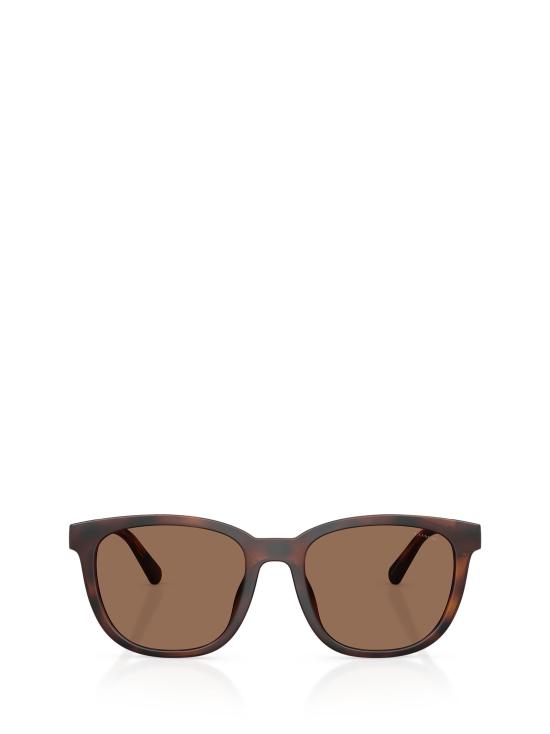 25FW 코치 선글라스 HC8442U 512073 MATTE TRANSPARENT BROWN