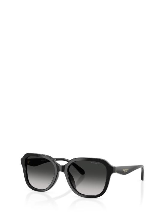 25FW 코치 선글라스 HC8437U 50023C BLACK - COACH