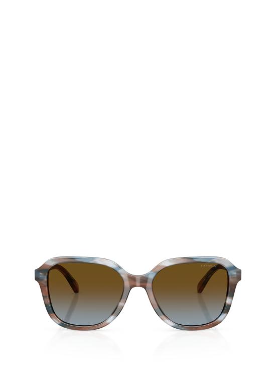 25FW 코치 선글라스 HC8437U 589913 STRIATED MAPLE BLUEBERRY