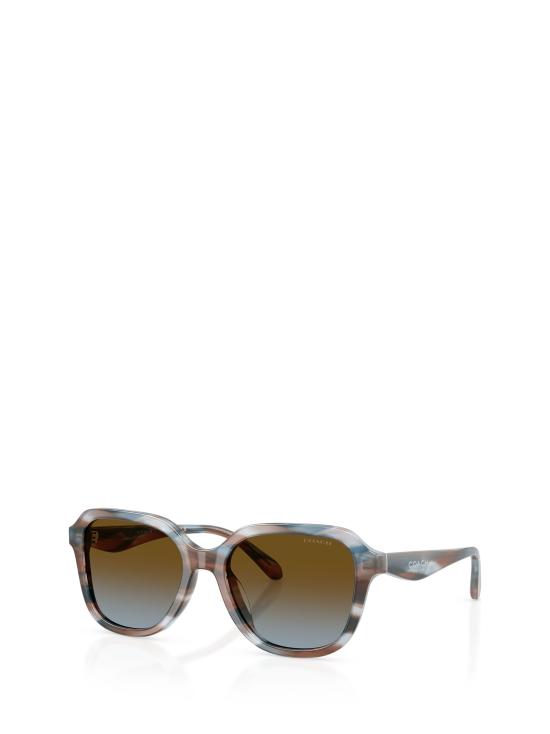 25FW 코치 선글라스 HC8437U 589913 STRIATED MAPLE BLUEBERRY - COACH