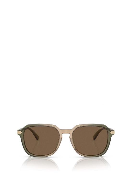 25FW 코치 선글라스 HC8383U 579773 GREEN BEIGE