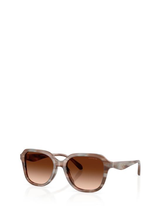 25FW 코치 선글라스 HC8437U 590174 STRIATED REDWOOD MAPLE - COACH