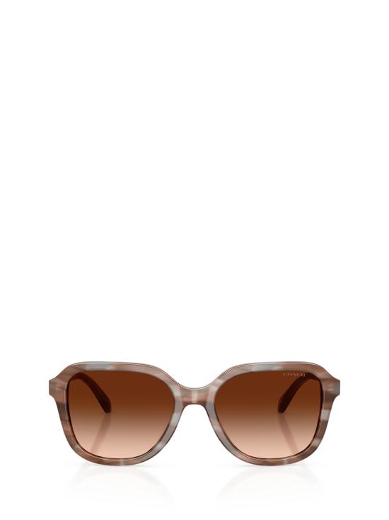 25FW 코치 선글라스 HC8437U 590174 STRIATED REDWOOD MAPLE