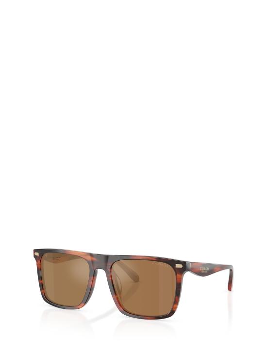 25FW 코치 선글라스 HC8440U 5906 O STRIATED CARAMEL - COACH