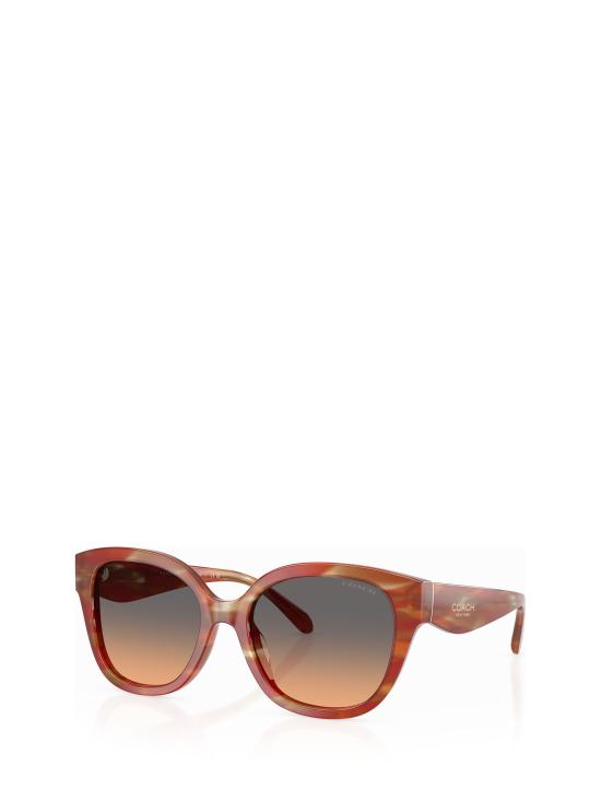 25FW 코치 선글라스 HC8438U 590018 STRIATED CHESTNUT - COACH