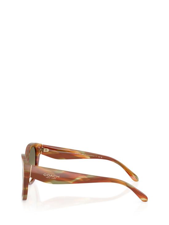 25FW 코치 선글라스 HC8438U 5898L0 STRIATED BARK MOSS - COACH