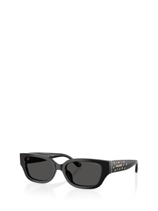 25FW 코치 선글라스 HC8439U 500287 BLACK - COACH