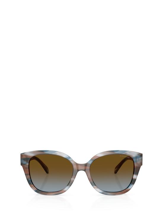 25FW 코치 선글라스 HC8438U 589913 STRIATED MAPLE BLUEBERRY