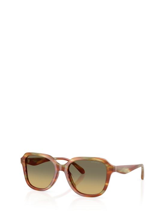 25FW 코치 선글라스 HC8437U 5898L0 STRIATED BARK MOSS - COACH