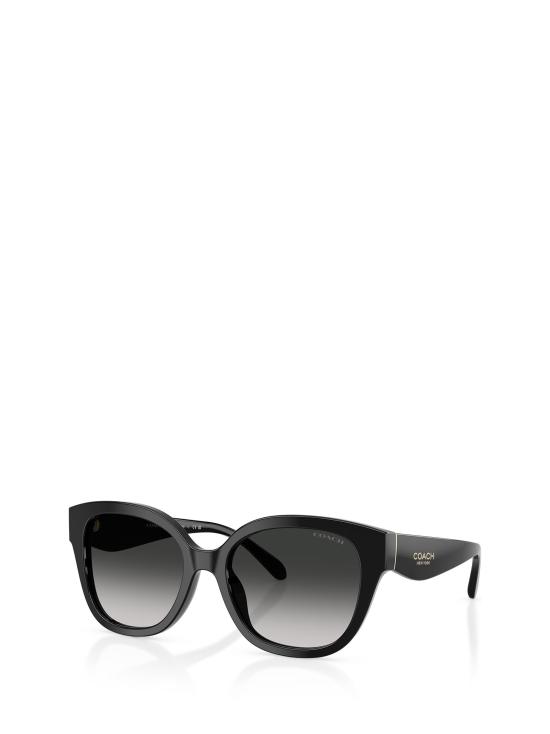 25FW 코치 선글라스 HC8438U 500287 BLACK - COACH