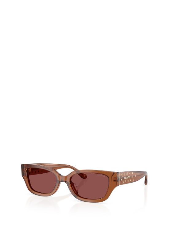 25FW 코치 선글라스 HC8439U 581175 TRANSPARENT BROWN - COACH