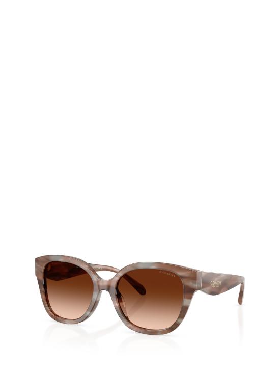 25FW 코치 선글라스 HC8438U 590174 STRIATED REDWOOD MAPLE - COACH