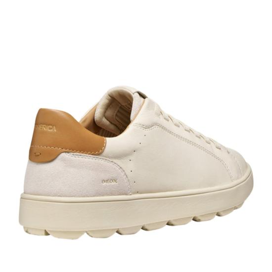 26SS 지옥스 스니커즈 U65EKD08522C1122 Neutrals - GEOX