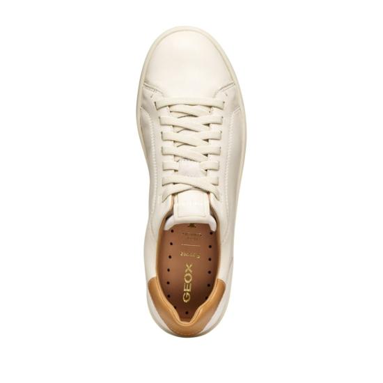 26SS 지옥스 스니커즈 U65EKD08522C1122 Neutrals - GEOX
