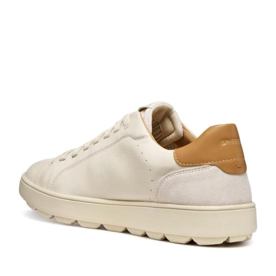 26SS 지옥스 스니커즈 U65EKD08522C1122 Neutrals - GEOX