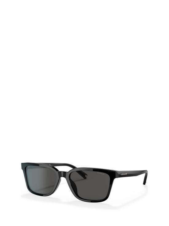 25FW 코치 선글라스 HC8328U 500287 BLACK - COACH