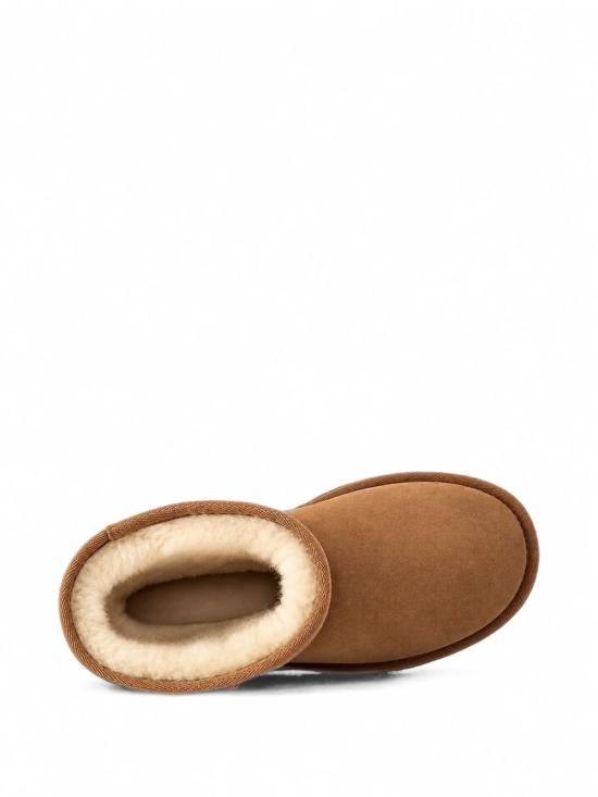 26FW 어그 클래식 쇼트 II 시어링 앵클 1016223 CHE CHESTNUT - UGG