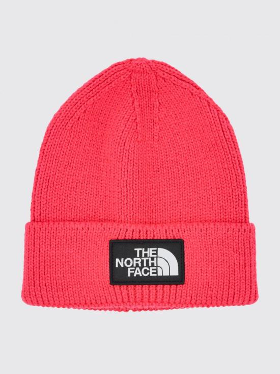 26FW 노스페이스 TNF 로고 박스 커프드 비니 NF0A8CHE BOS1 Fuchsia