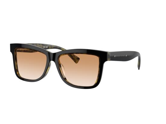 26SS 브루넬로 쿠치넬리 선글라스 0BC4009S 그라데이션 오버사이즈 스퀘어 - BRUNELLO CUCINELLI
