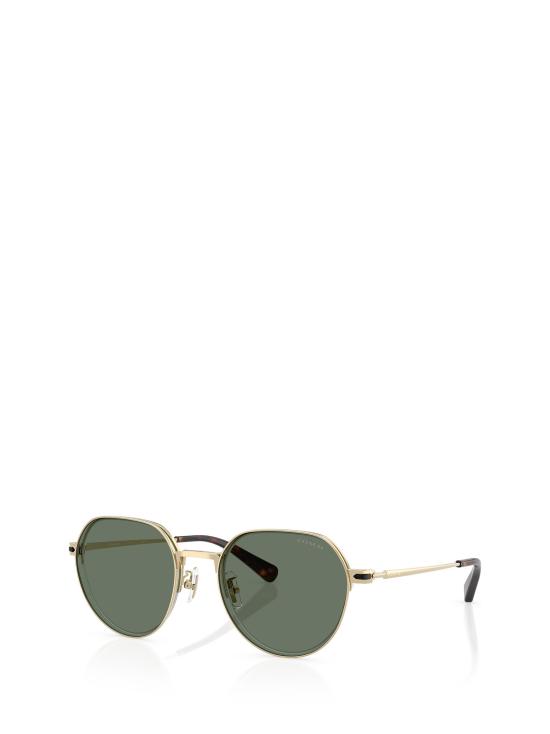 25FW 코치 선글라스 HC7179 90053H SHINY LIGHT GOLD - COACH