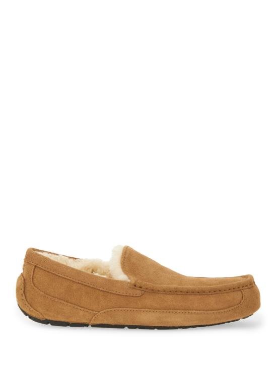 26FW 어그 애스코트 슬리퍼 1101110 CHE BROWN - UGG