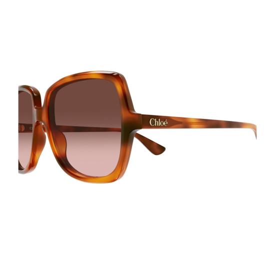 27FW 끌로에 선글라스 1B3H5MJ0A Brown - CHLOE