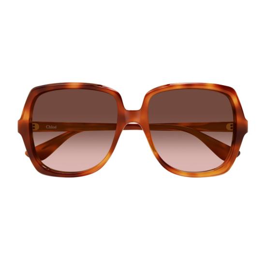 27FW 끌로에 선글라스 1B3H5MJ0A Brown