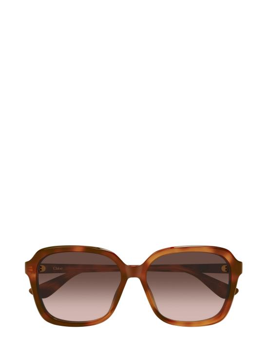 25FW 끌로에 선글라스 CH0390SK 002 HAVANA