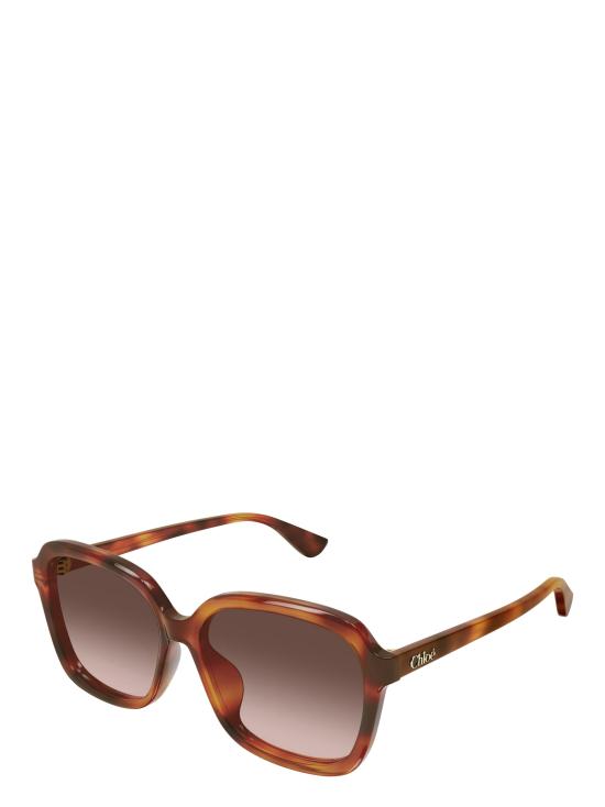 25FW 끌로에 선글라스 CH0390SK 002 HAVANA - CHLOE