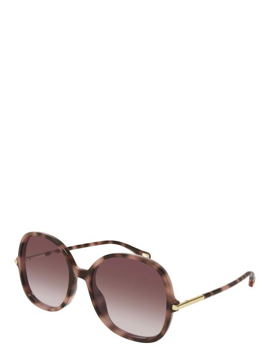 25FW 끌로에 선글라스 CH0383S 004 HAVANA - CHLOE