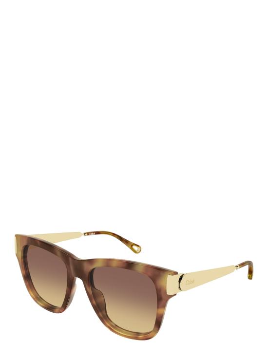 25FW 끌로에 선글라스 CH0349S 002 HAVANA - CHLOE