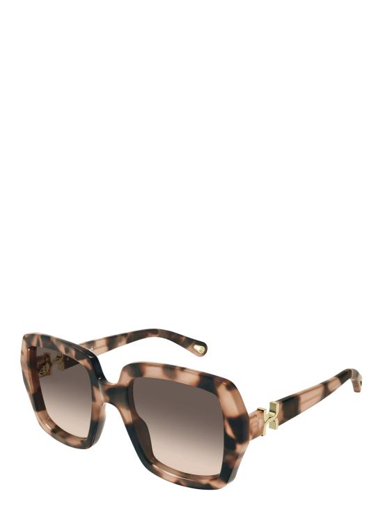 25FW 끌로에 선글라스 CH0301S 006 HAVANA - CHLOE