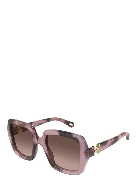 25FW 끌로에 선글라스 CH0301S 007 HAVANA - CHLOE