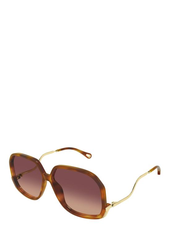25FW 끌로에 선글라스 CH0404S 001 HAVANA - CHLOE