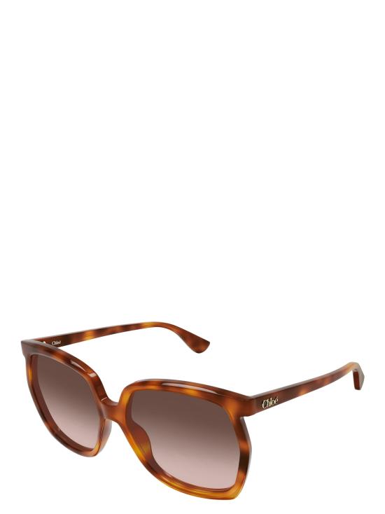 25FW 끌로에 선글라스 CH0389S 002 HAVANA - CHLOE