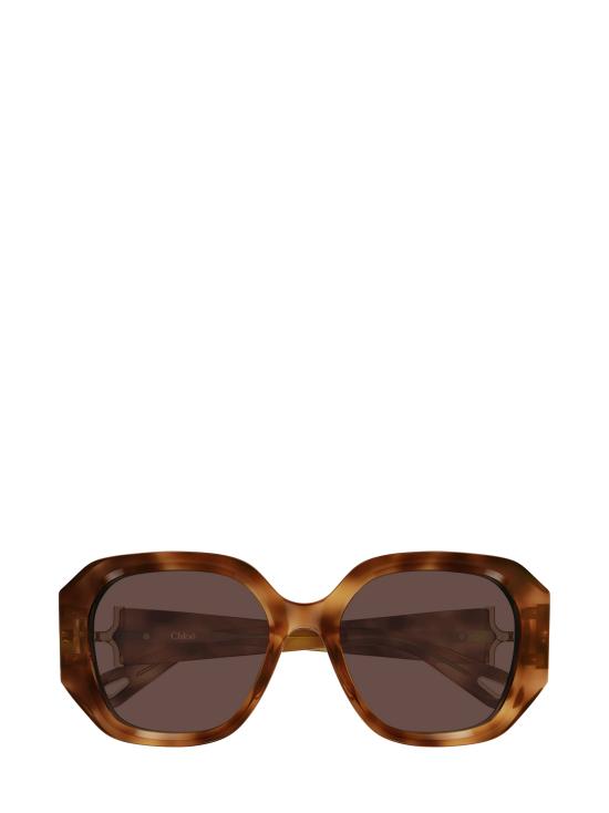 25FW 끌로에 선글라스 CH0236S 006 HAVANA