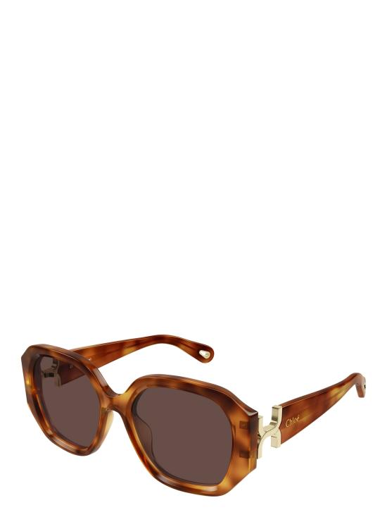 25FW 끌로에 선글라스 CH0236S 006 HAVANA - CHLOE
