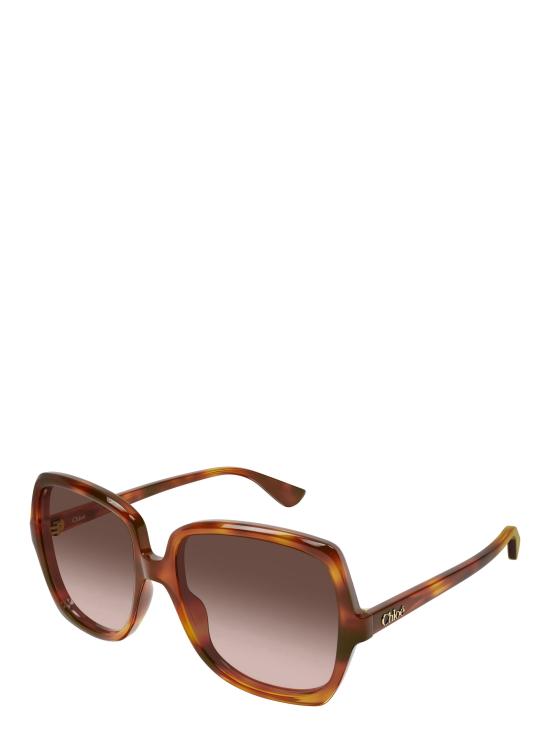 25FW 끌로에 선글라스 CH0388S 002 HAVANA - CHLOE