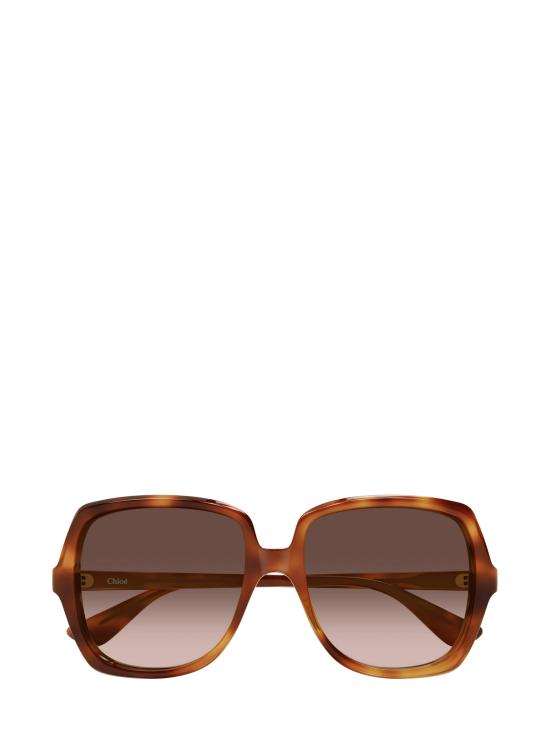 25FW 끌로에 선글라스 CH0388S 002 HAVANA
