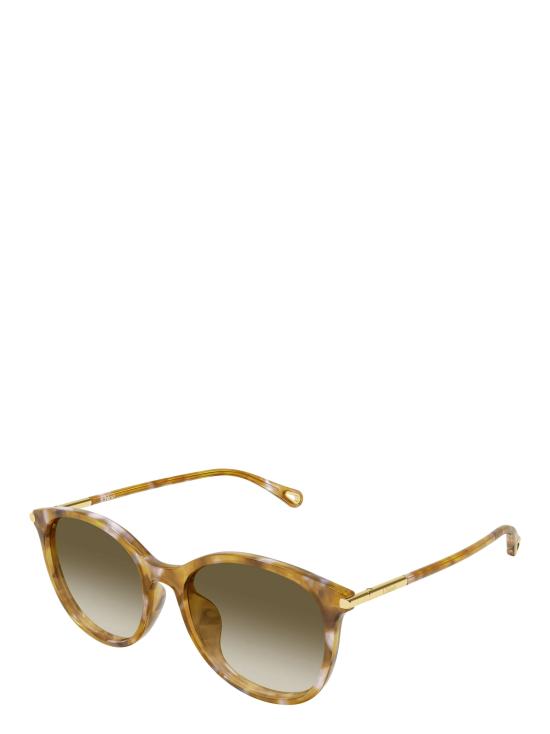 25FW 끌로에 선글라스 CH0397SK 003 HAVANA - CHLOE