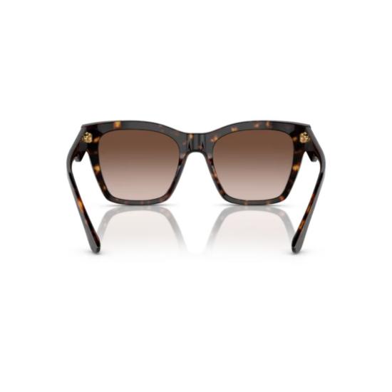 26FW 돌체앤가바나 선글라스 0DG4384 BROWN - DOLCE & GABBANA