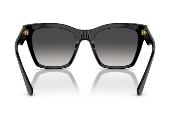 26FW 돌체앤가바나 선글라스 0DG4384 BLACK - DOLCE & GABBANA